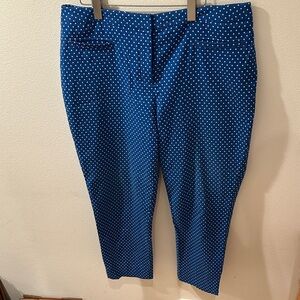 Talbots Blue and White Patterned Pants